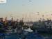 P1090611 P1090611