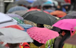 Spectators protect themselves from the r