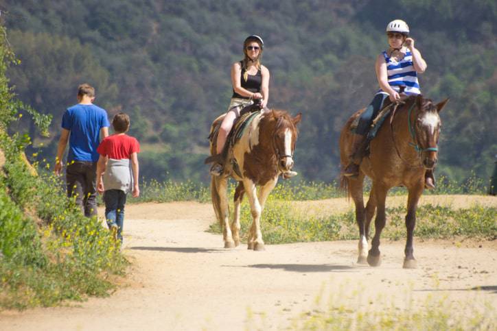 toscana cavallo