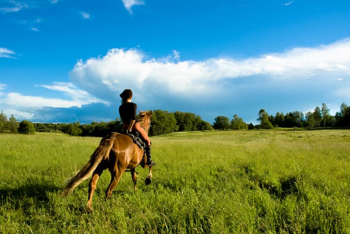 passeggiate a cavallo