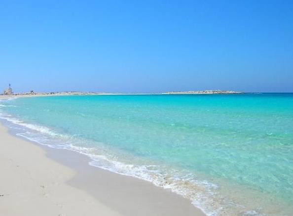 Guida Marsa Alam