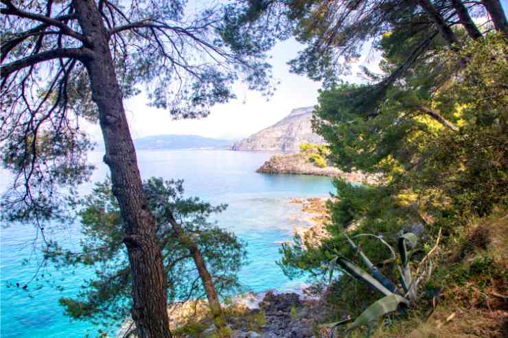 Cersuta sulla costa di Maratea