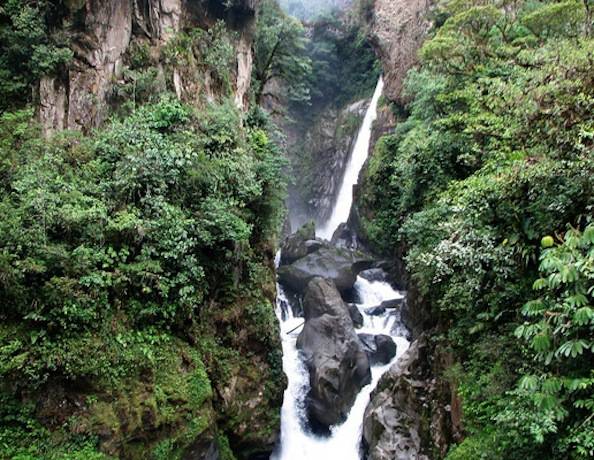 Pailon