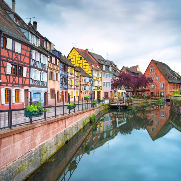 Colmar ThinkStock