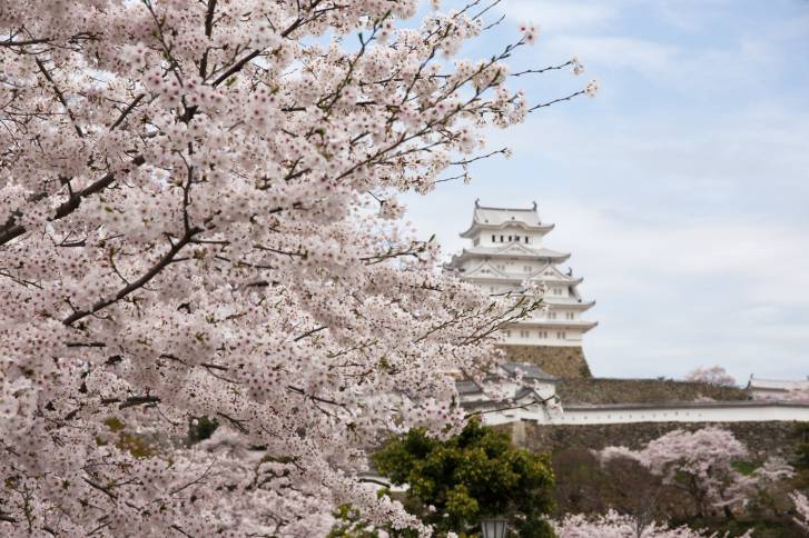 Himeji castle (Think Stock)