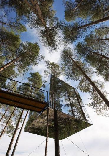 Tree Hotel