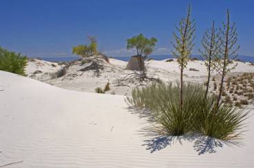 White Sands