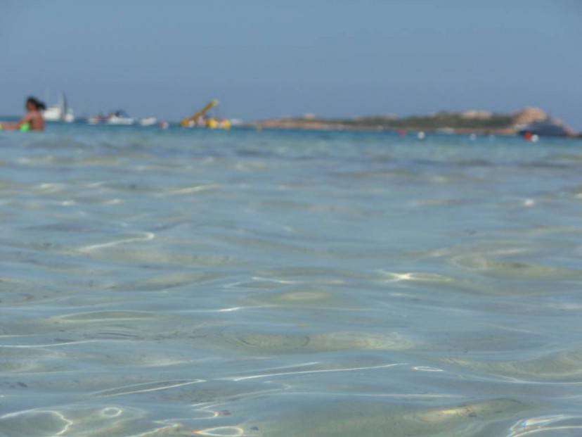 Foto di Selena Marvaldi