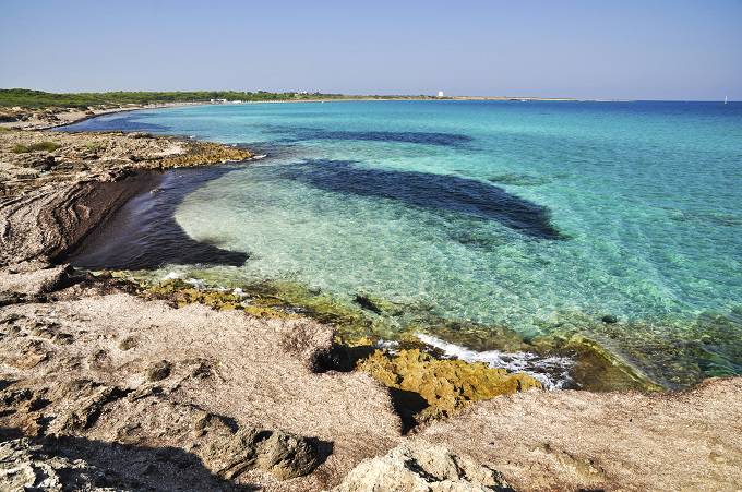 Punta della Suina, Gallipoli