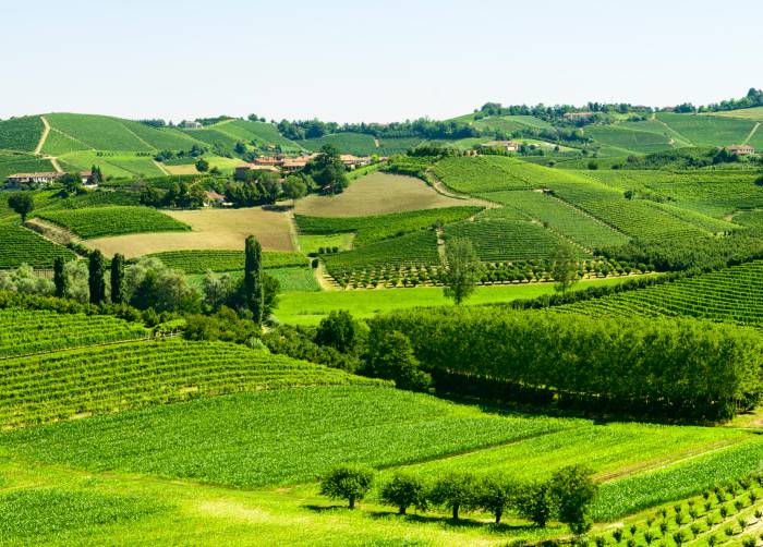 Langhe (Thinkstock)