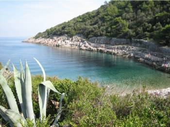 Una caletta a Lussino (Foto di Darko Tepert Donatus, da Wikipedia. Licenza CC BY-SA 2.5)