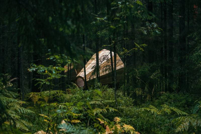 Altoparlante nel bosco (Foto Bioradar)
