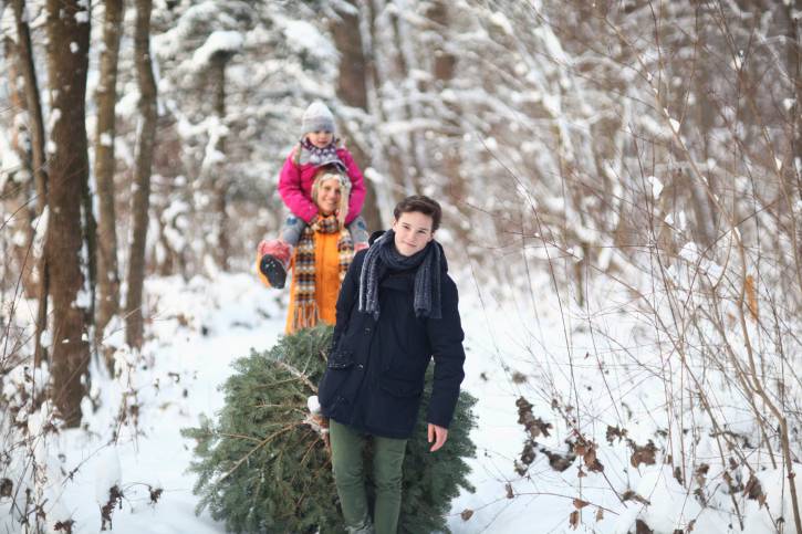 Family carrying Christmas tree in snow