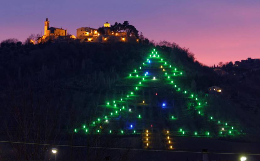 Castelbellino (AN), il grande albero di Natale (Foto facebook)