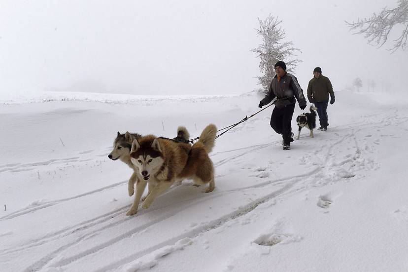 Neve sul monte Pilat, Francia (PHILIPPE DESMAZES/AFP/Getty Images)