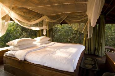 Taj Safari - Baghvan Pench National Park - Machaan Room