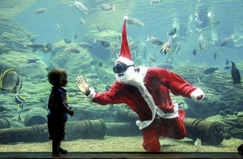 Babbo natale al South African Marine Biological Research di Durban (RAJESH JANTILAL/AFP/Getty Images)
