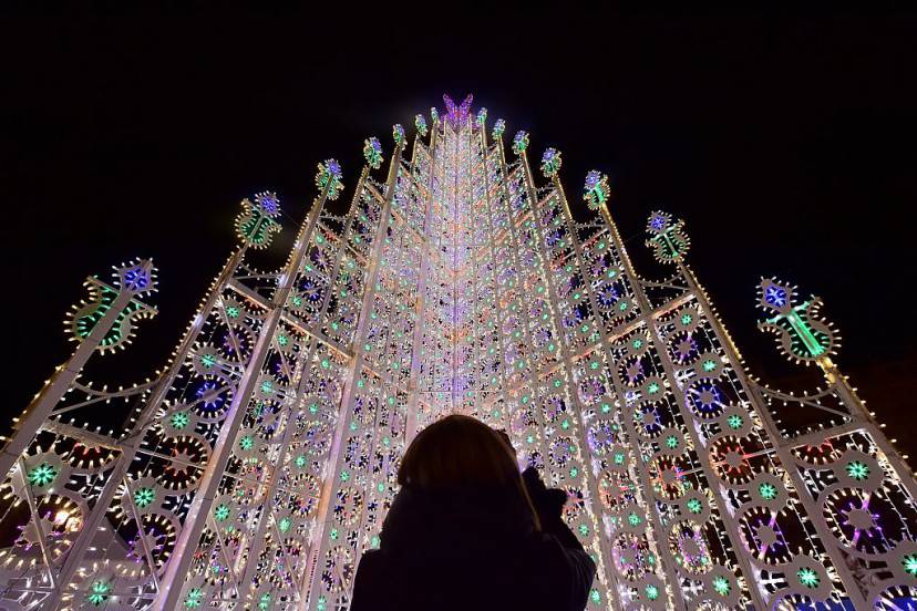 Albero di Natale in Piazza Castello a Torino (GIUSEPPE CACACE/AFP/Getty Images)