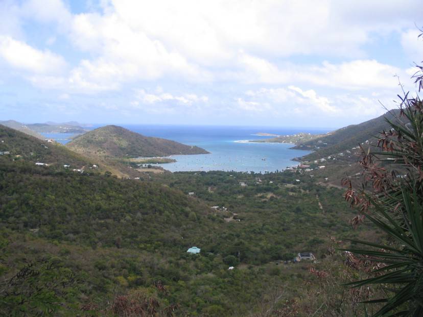 Coral Bay, St John, Isole Vergini Usa (Foto di Bonus Onus. Licenza CC BY-SA 3.0 via Commons)