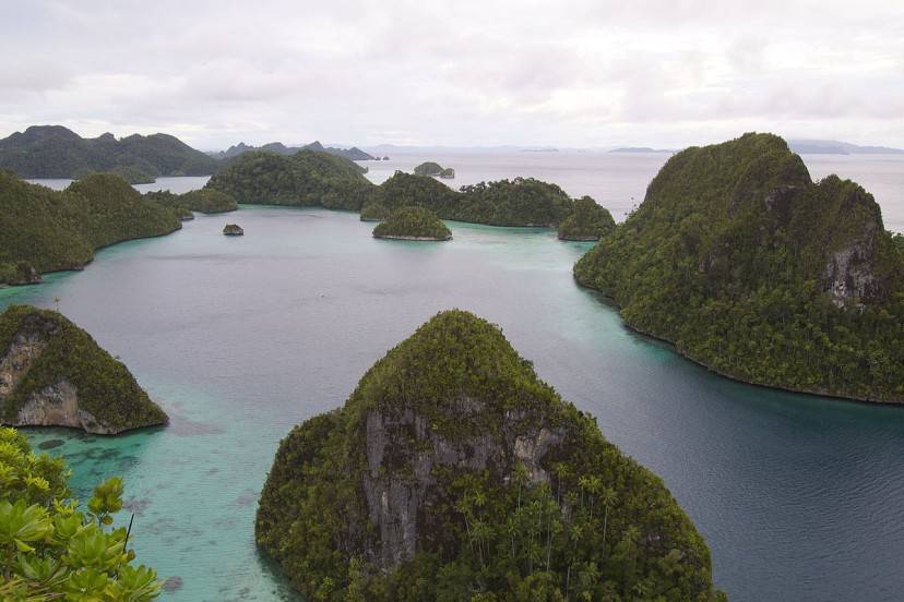 Isole di Raja Ampat, Papua Occidentale, Nuova Guinea, Indonesia (Elias Levy. CC BY 2.0 via Commons)