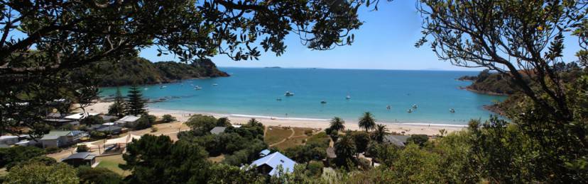 Isola di Waiheke, Nuova Zelanda, Palm Beach (Foto di Scott Younger. Licenza CC BY-SA 3.0 via Wikimedia Commons)