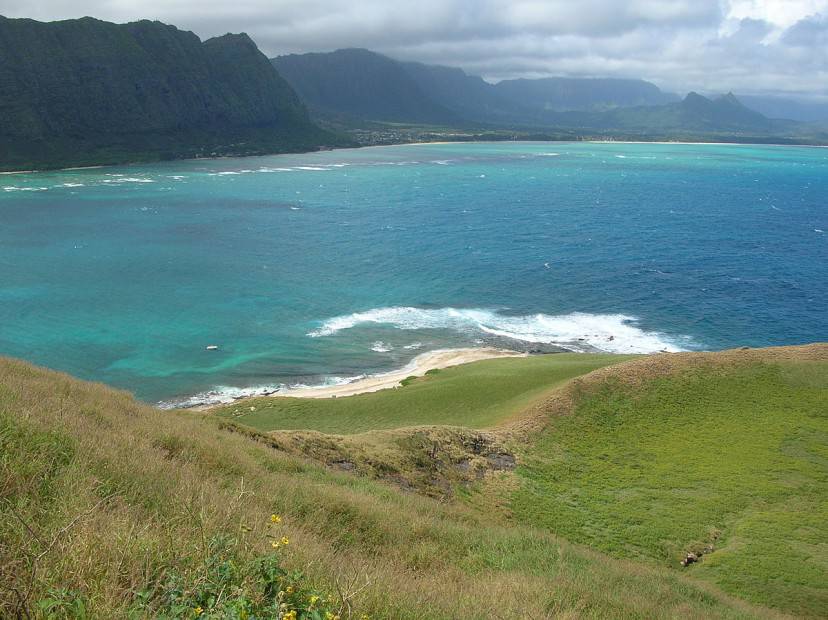 Oahu, Hawaii (Foto di Forest & Kim Starr. Licenza CC BY 3.0 via Wikimedia Commons)