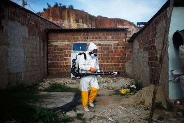 Zika: disinfestazione delle zanzare in Brasile (Mario Tama/Getty Images)