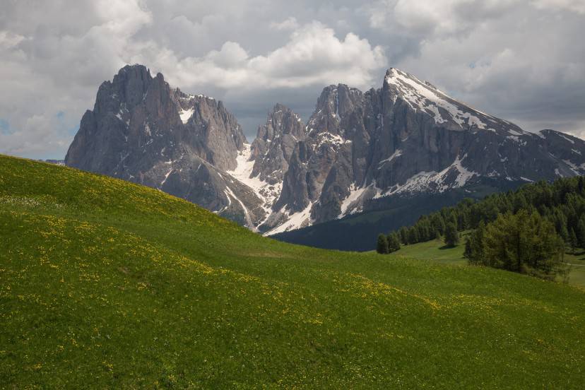 Alpe di Siusi (Pixabay)