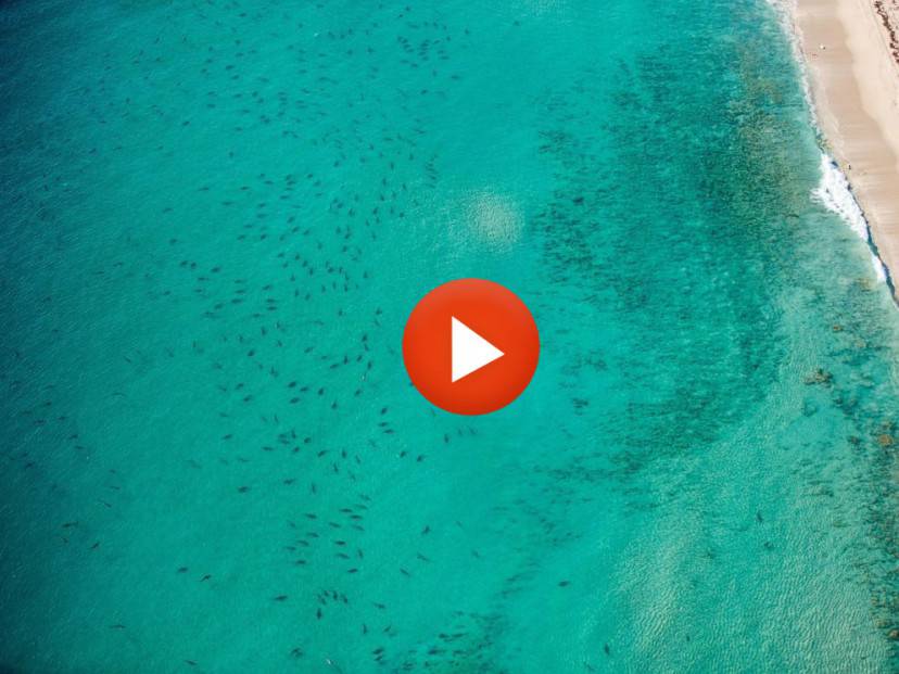 pizap.com14557871723781