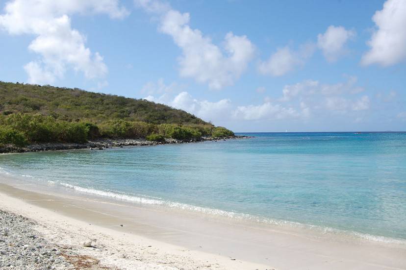 Spiaggia sull'Isoal di Saint John, Isole Vergini Usa (Di Desalvionjr. CC BY-SA 3.0, WIkicommons)