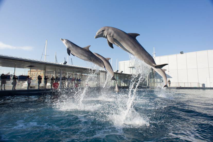 acquario genova