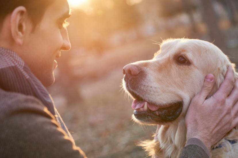 Man with dog resting outdoors