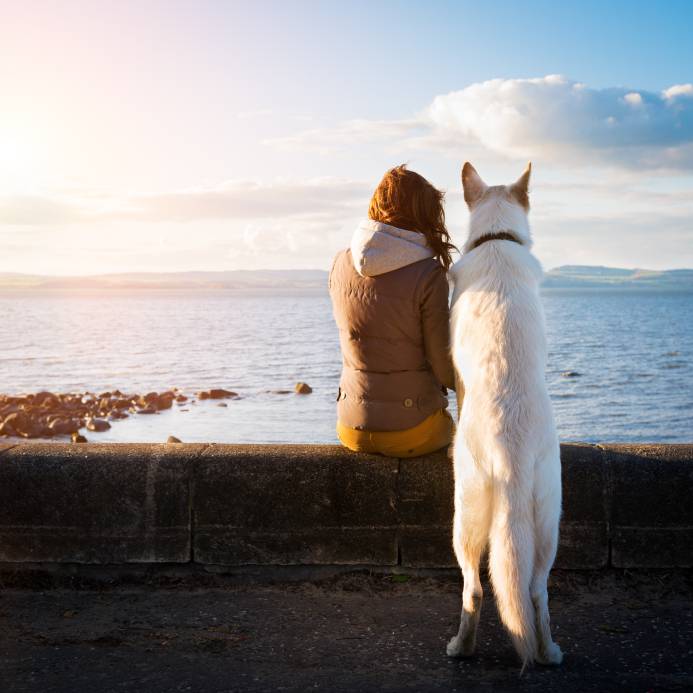 Young hipster girl with her pet dog at a seaside, colorised image