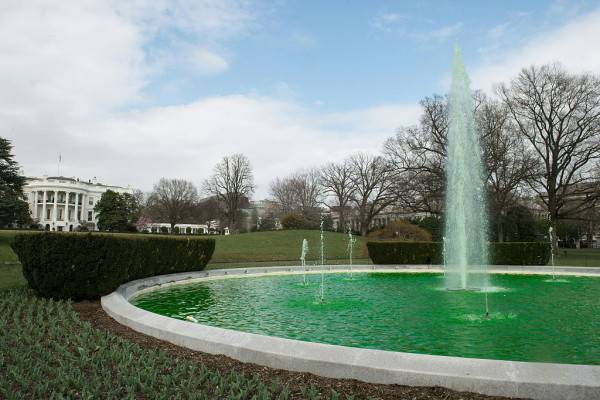 La fontana della Casa Bianca (NICHOLAS KAMM/AFP/Getty Images)