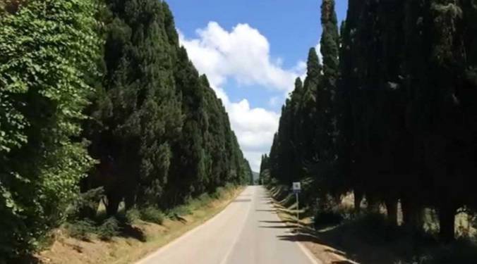 strada bolgheri strada più bella d'Italia 