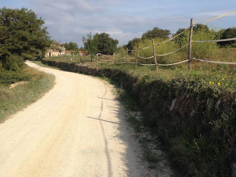 via francigena in toscana