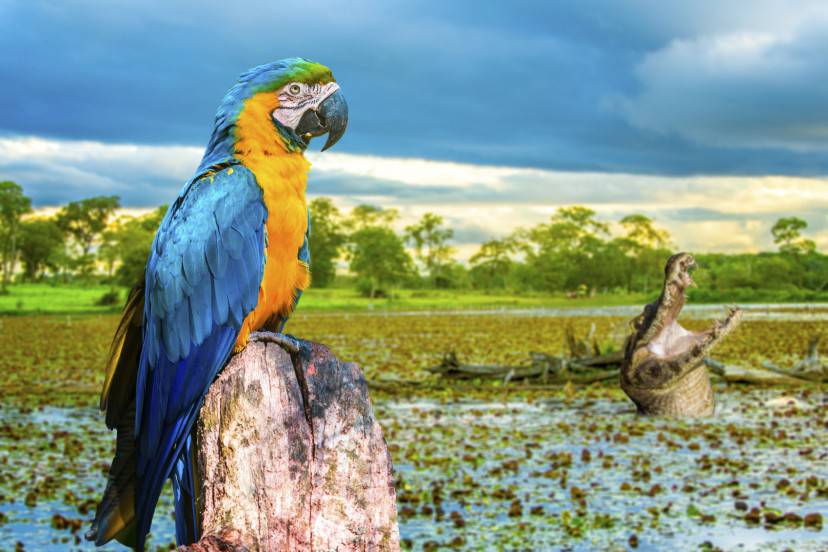 iStock_000071148673_Medium