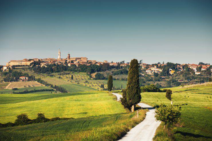 La campagna intorno a Pienza (Borut Trdina iStock)