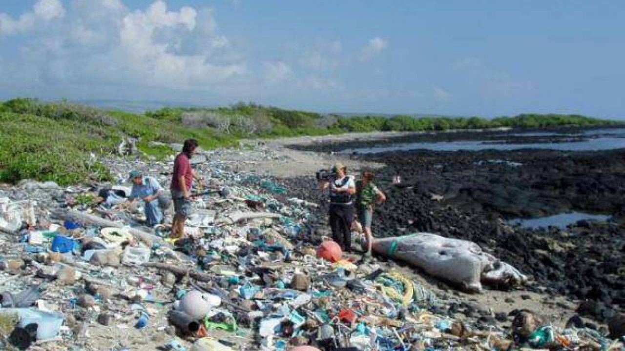 Ecco La Spiaggia Piu Brutta Del Mondo
