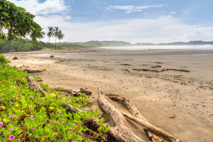 Spiaggia di Guiones, Costa Rica (itock)