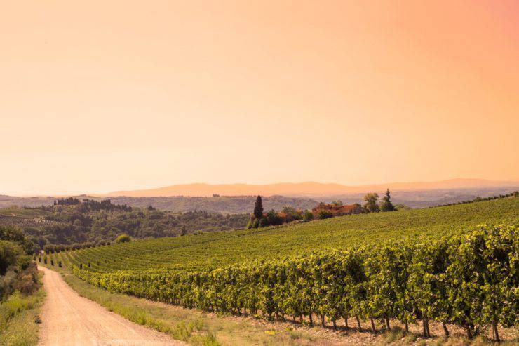 Chianti (iStock)