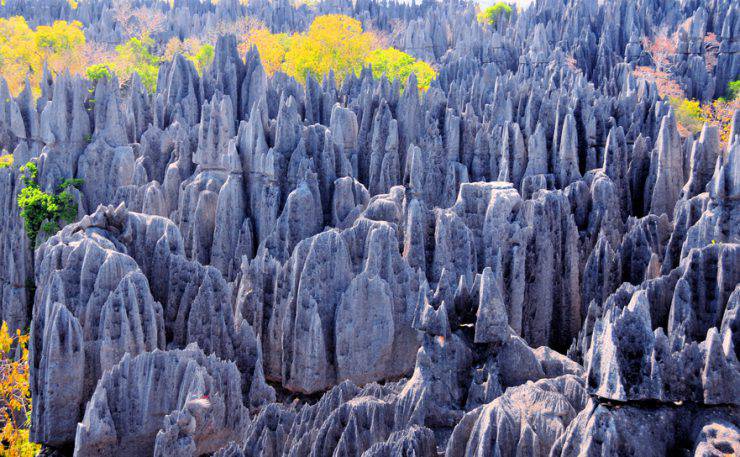 Tsingy de Bemaraha National Park, Mahajanga province, Madagascar: karst limestone formation - UNESCO World Heritage Site - photo by M.Torres