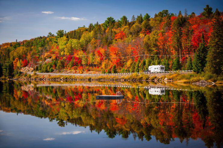 Fall forest with colorful 