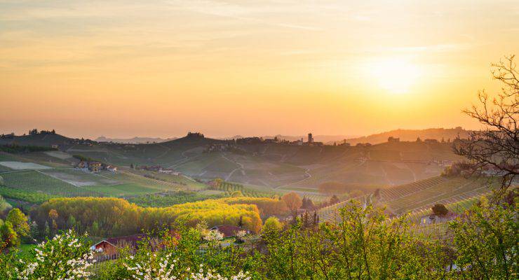 Le Langhe, Barbaresco (Piemonte, Italy)