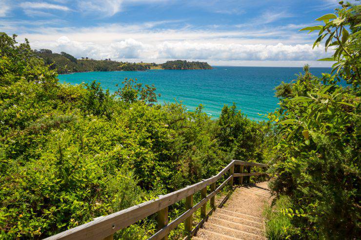 Waiheke Island, Auckland, Nuova Zelanda (iStock)