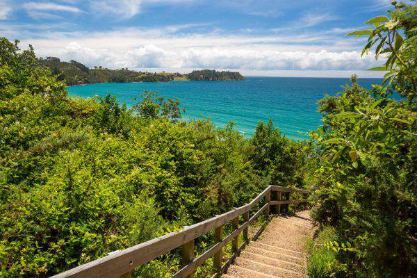 waiheke_island_iStock_62205072_SMALL-e1531921680279