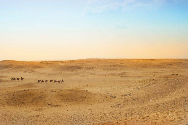 Deserto Egitto, altopiano di Giza (iStock)