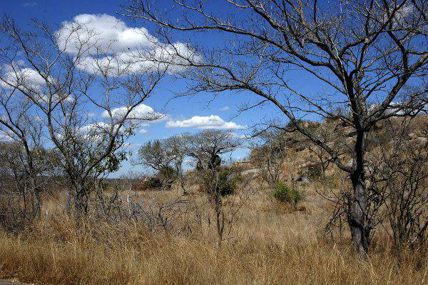 Parco Nazionale Kruger, Sudafrica (Wikipedia)