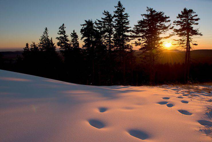 Footprints can be seen in the snow as sun sets behind the Wurmberg mountain near Braunlage in the Harz region, central Germany, on November 29, 2016. / AFP / dpa / Swen Pfoertner / Germany OUT        (Photo credit should read SWEN PFOERTNER/AFP/Getty Images)