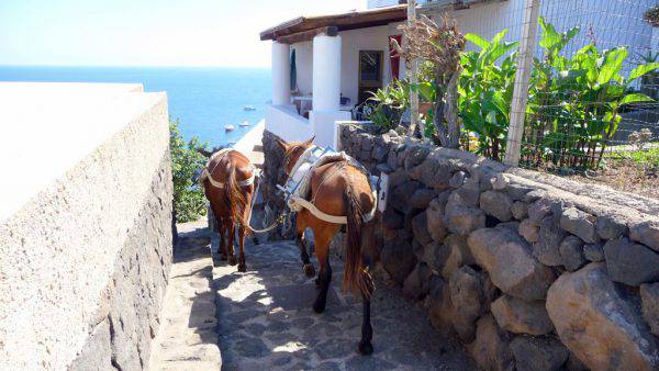 guida isole eolie